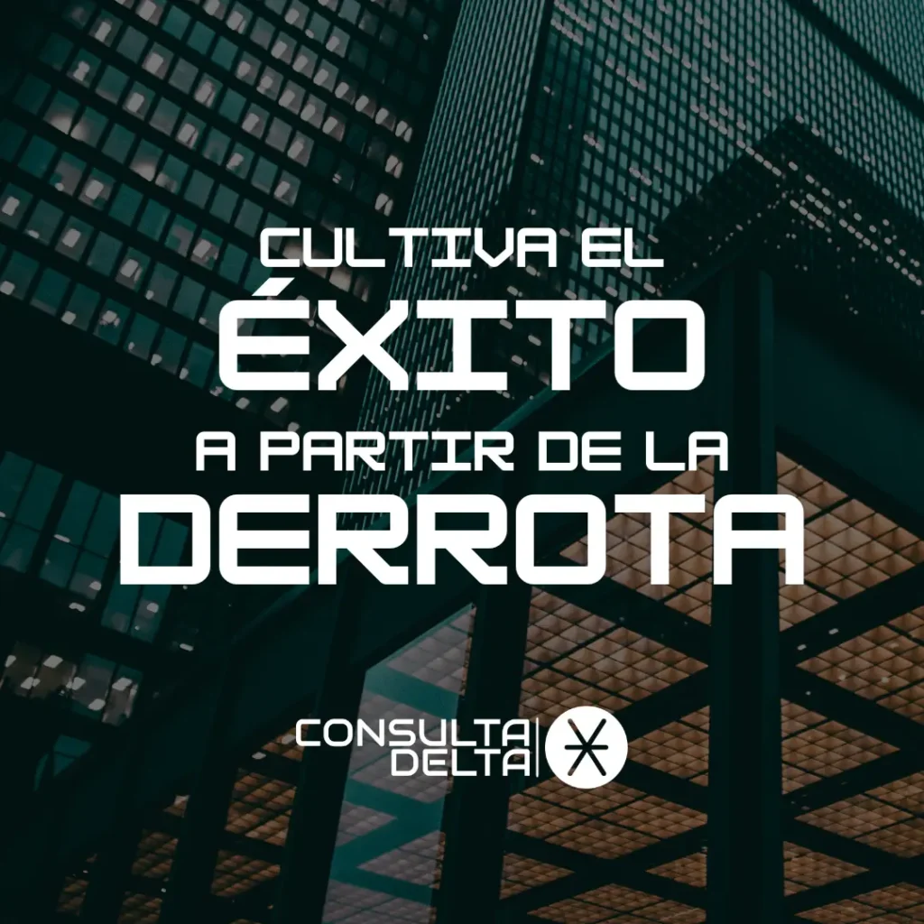 consulto seo local